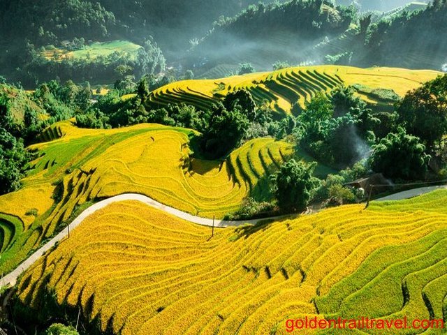 North Vietnam Sapa, Ninh Binh, Halong Bay Tour 10 Days